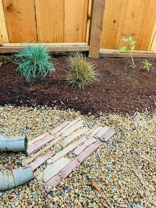 Image of Seashell mulch suburban lawn and garden